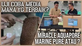 Media Filter Biologis Terbaik | Perbandingan Marine Pure, Miracle Aquapore @onelitokoi