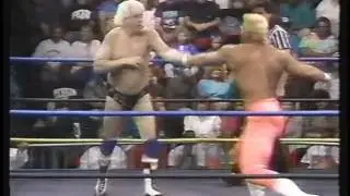 Sting vs. Doug Summers (Doug Somers) [1991-10-19]