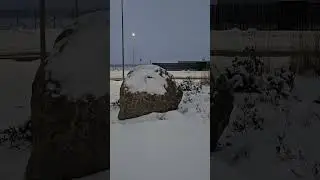 Jacki z Weronowa w zimowej scenerii 2026