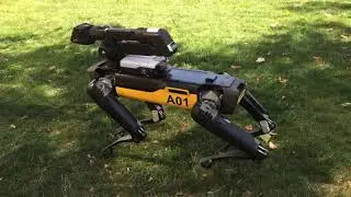 Spot Mini Demo
