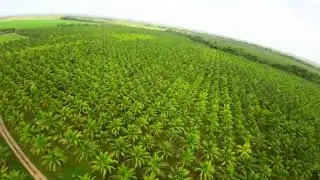 820 Acres of Turnkey Agricultural opportunity in Belize For Sale