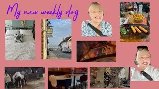 New Weekly Vlog/Riding Lesson/Surprise Party/Days Out/ New Mattress/Acupuncture