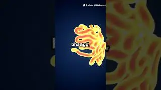 Insaan Ke Pet (Stomach) Ke Andar! 🤢🔥 (Acid Lake) #Shorts #Biology