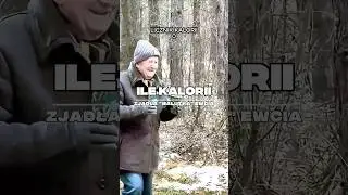ILE KALORII JE MAK&Oacute;WKAMUSIC? Sprawdzaj!