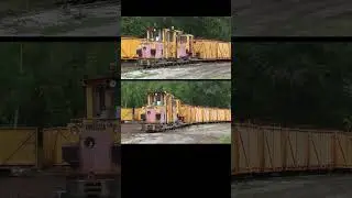 Torfbahn Sch&ouml;ninghdorf #Shorts 2447 #trainspotting #feldbahn #railway #railroad #spoorenwegen #Eisen