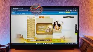 Get this script West Gold 1xbet ✅
