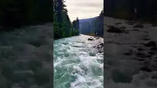 Majestic Flow of the Lidder River | Pahalgam | Kashmir Valley