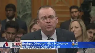White House Select Acting Chief Of Staff
