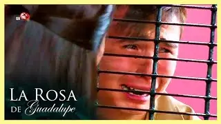 Es condenado por comerse a su novia | Parte 4/4 | Sales de baño, lo más oscuro