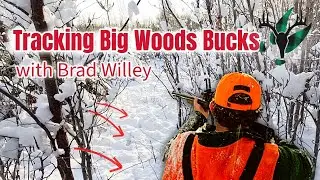 Tracking Big Woods Bucks with Brad Willey