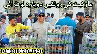 Lalukhet Sunday Birds Market 15-02-2026 Update | lalukhet birds market 2026 latest update @SYEDBIRDS