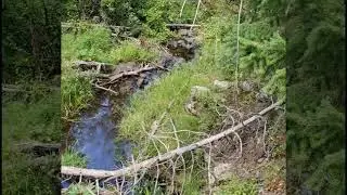 Homes for sale Evergreen CO    Real Estate Broker Golden CO   Evergreen CO   Orson Hill Realty