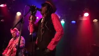 Big Bang Baby by Stone Temple Pilots cover by Scoonie Gee