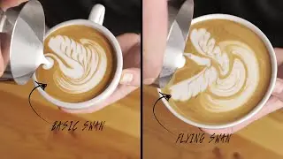 Barista Training # 5  -  Swan (with slow motion)