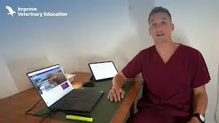 GPCert en Anestesia de peque&ntilde;os animales