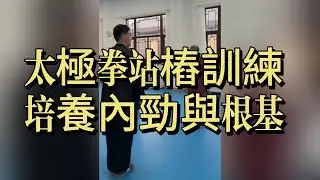 太極拳站樁訓練｜培養內勁與根基｜鬆沉中定的關鍵功法#太極拳 #太極站樁 #站樁功 #陳式太極拳 #太極內功 #太極基本功 #內家拳 #養生太極 #鬆沉中定 #氣血循環