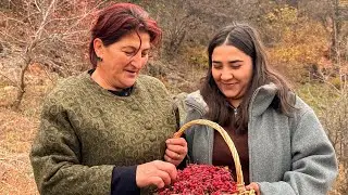 ՀԱՅ ԳՅՈՒՂԱՑԻՆԵՐՆ ի՞նչ դեղաբույսերից են թեյ պատրաստում /Как собирать ТРАВЫ и ЯГОДЫ для чая в ДЕРЕВНЕ?