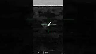 Varmint Hunt with Thermal #thermal #hunting #556 #varminthunting