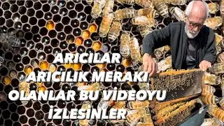ARICILAR BU VİDEOYU İZLESİNLER BALCI NUSRET AMCA İLE ARICILARI GEZİYORUZ