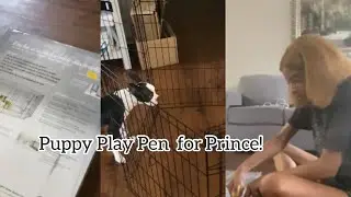 DIY PROJECT: The Midwest Playpen Crate