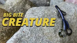 Big Bite Creature Tackle Breakdown