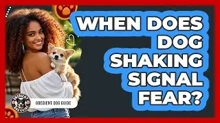 When Does Dog Shaking Signal Fear?