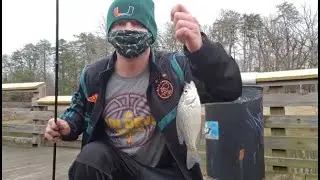 Greensboro Country Park 4 Crappie 1 Channel Catfish 4 Bluegill / Bream employing earthworms as bait.