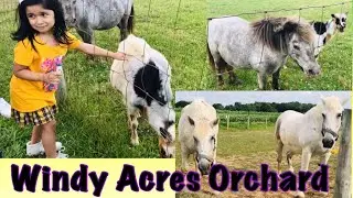 Windy Acres Orchard || #farm #orchard #berries #apples #video