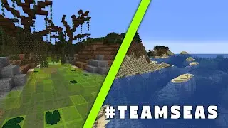 Was wir brauchen bist du! #TeamSeas 🌊
