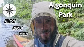 Algonquin Park BUG Season Solo Canoe Trip