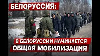 Началось#новости #news