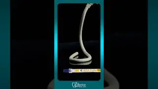 BioCeramic Premixed 𝗠𝗧𝗔 🔥𝗲-𝗠𝗧𝗔 𝗣𝗨𝗧𝗧𝗬 🔥 Kids-e-dental 01001717936#collection_ortho_pedo#e_mta_putty