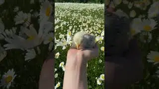 Успокаивающая мелодия поможет мне расслабиться - Расслабляющая музыка расслабляет душу.
