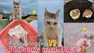 How to Treat Stray Dogs & Cats 🐾 | Kuton aur Bilyon ka Khayal Kaise Rakhein