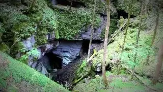Bull Cave