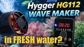Using a Saltwater Wave Maker in a Freshwater Aquarium | Hygger HG112 Review