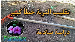 معلومة صادمة جدا 🤯 لكل المزارعين عن تجهيز التربة لزراعة ( حرث التربة يضرها اكثر ما ينفعها)
