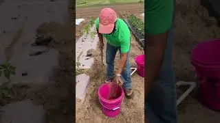 How to install Watermark soil moisture sensor