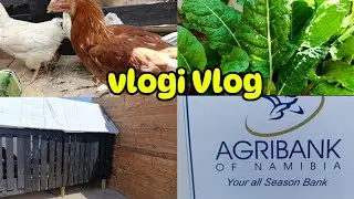 Garden P2 | Chickens || Agri-bank farming Training