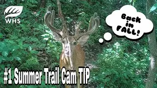 #1 Summer Trail Cam Tip