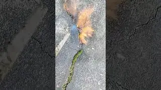 burning weeds on cracks#asphaltkeepers