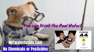 Chlorine free, Dog Pool Party, swimming pools, zero chemical pool, No Chemical pool, Fusion 44