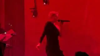 Robyn - Cobrastyle - Live at Brooklyn Paramount NYC 2 Jan 2026