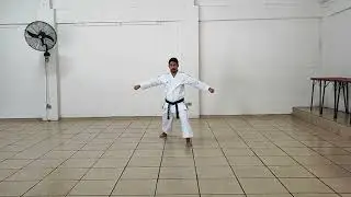 Ippon Kumite 4 kyu parejas (cinta Morada-Marron 🟣🟤)