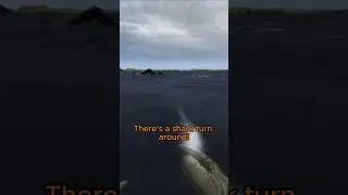 How I Survived A DayZ Shark Attack 🦈