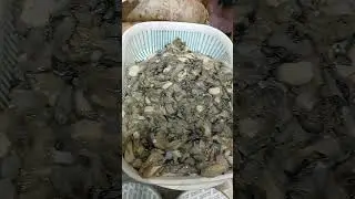 #short.Fresh Oyster For Sale in The Market. #satisfying #viral #trending @felyganzagan2822