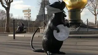 Ratcoin