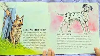Dogs, by Joanne Gise [430] Book Read Aloud #nonfiction #animals #information #littlelearningexplorer