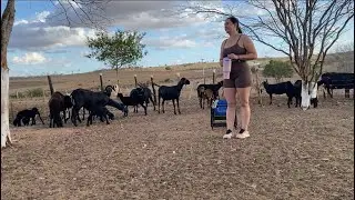 Minha rotina morando na roça 