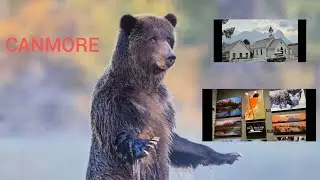 CANMORE, CANADA . KEN HOEHN GALLERY. COOL CITY VIEWS, PHOTO GALLERY - REFERENCES FOR THE ARTIST